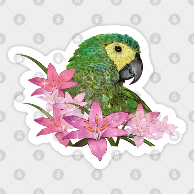 Red-bellied Macaw Sticker by obscurite